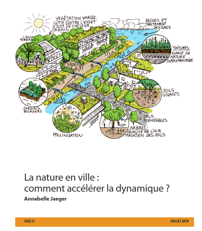 Services écosystémiques liés à la nature en ville. Source : CESE