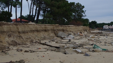Erosion des berges en amont du courant, suite aux tempêtes de décembre 2013 et janvier 2014 en Aquitaine
