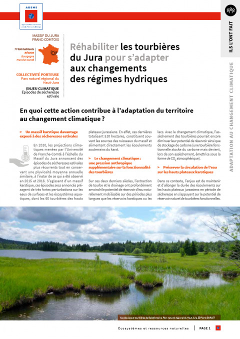 Réhabiliter les tourbières du Jura pour s’adapter aux changements des régimes hydriques