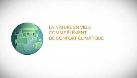 La nature en ville comme élément de confort climatique