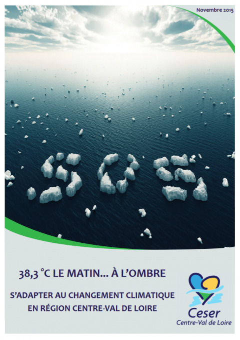 Rapport Adaptation au changement climatique