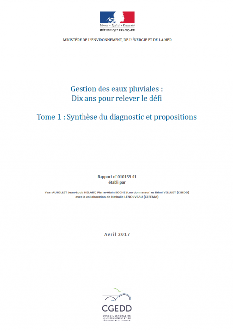 Gestion des eaux pluviales : 10 ans pour relever le défi