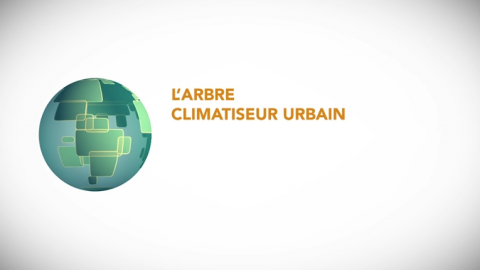 L'arbre climatiseur urbain