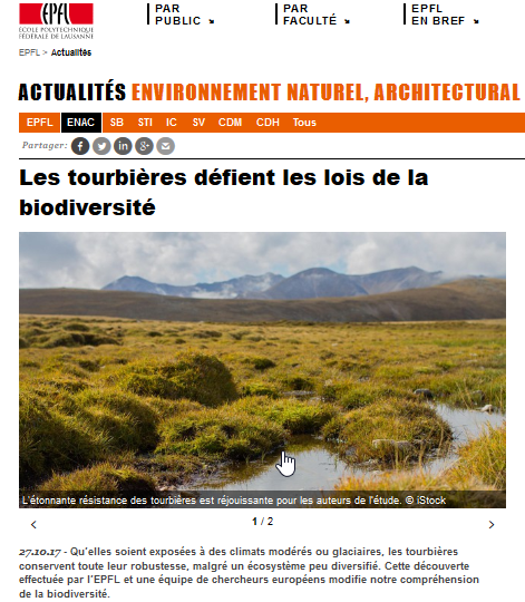 Les tourbières défient les lois de la biodiversité 