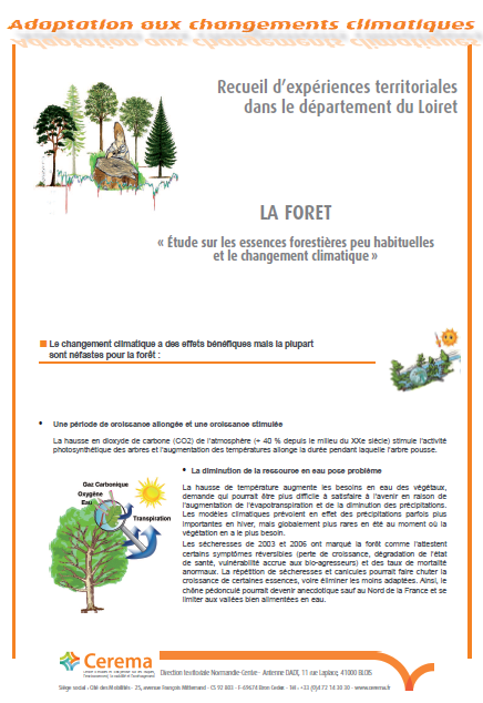 La forêt « Étude sur les essences forestières peu habituelles et le changement climatique »