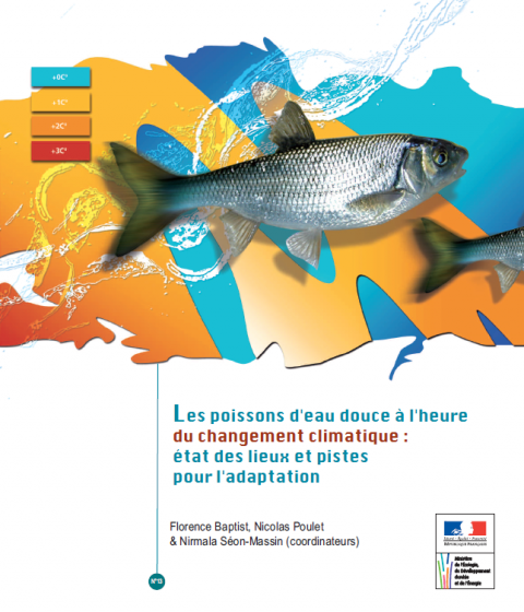 Les poissons d'eau douce à l'heure du changement climatique : état des lieux et pistes pour l'adaptation