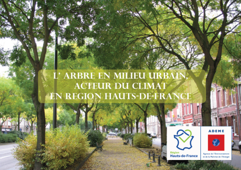 L'arbre en milieu urbain, acteur du climat en région Hauts-de-Franc