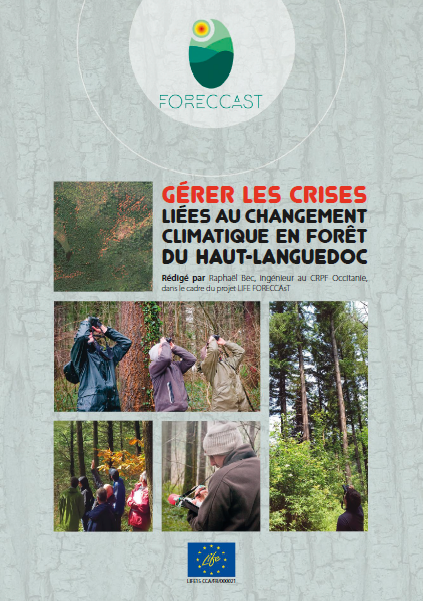 Gérer les crises liées au changement climatique en forêt du Haut-Languedoc