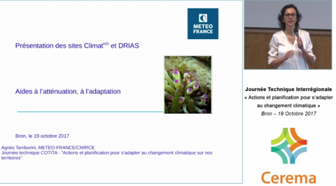 Présentation des sites ClimatHD et Drias -  Aides à l'atténuation, à l'adaptation