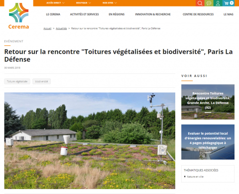 Retour sur la rencontre "Toitures végétalisées et biodiversité", Paris La Défense