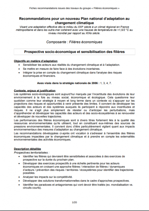 Fiche de recommandation pour le PNACC 2 : Composante Filières économiques