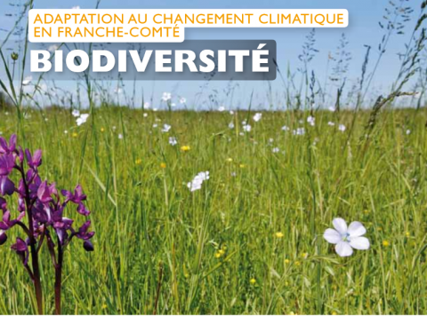 Adaptation au changement climatique en Bourgogne Franche-Comté : Biodiversité