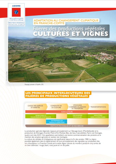 Adaptation au changement climatique en Bourgogne Franche-Comté : Filières des ressources végétales – Cultures et vignes
