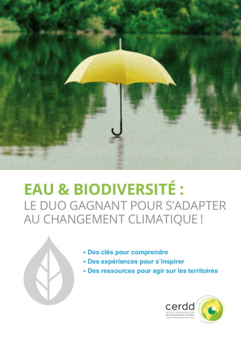 Parapluie sur eau - Crédit photo : Cerdd