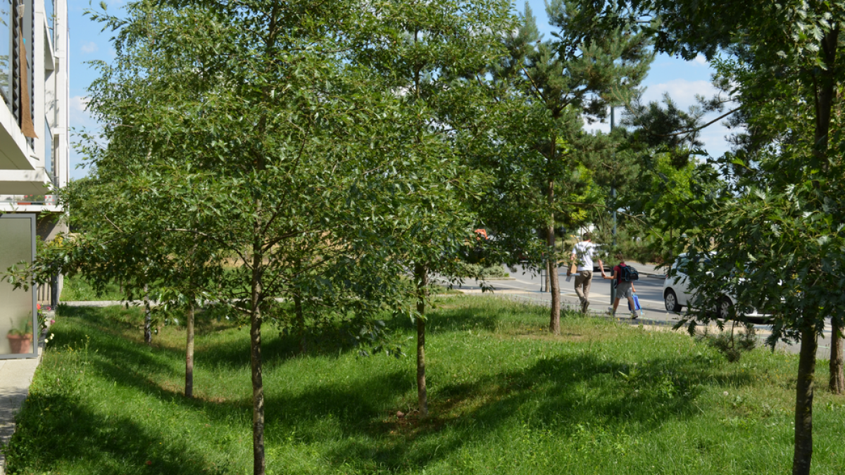 Noue végétalisée bordant des espaces d’habitation à la ZAC des Rives du Blosne, Chantepie (département Ile-et-Vilaine, région Bretagne) © Jérôme Champres, Cerema