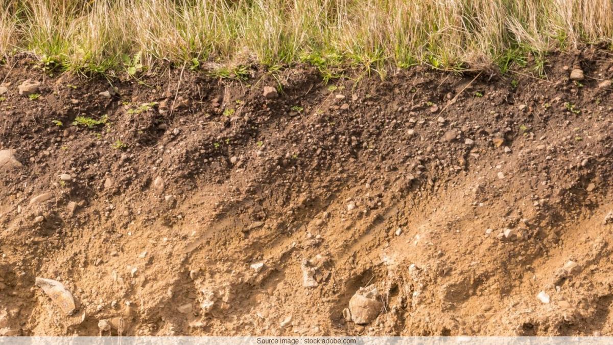 Le sol, un trésor à protéger face au changement climatique | Centre de